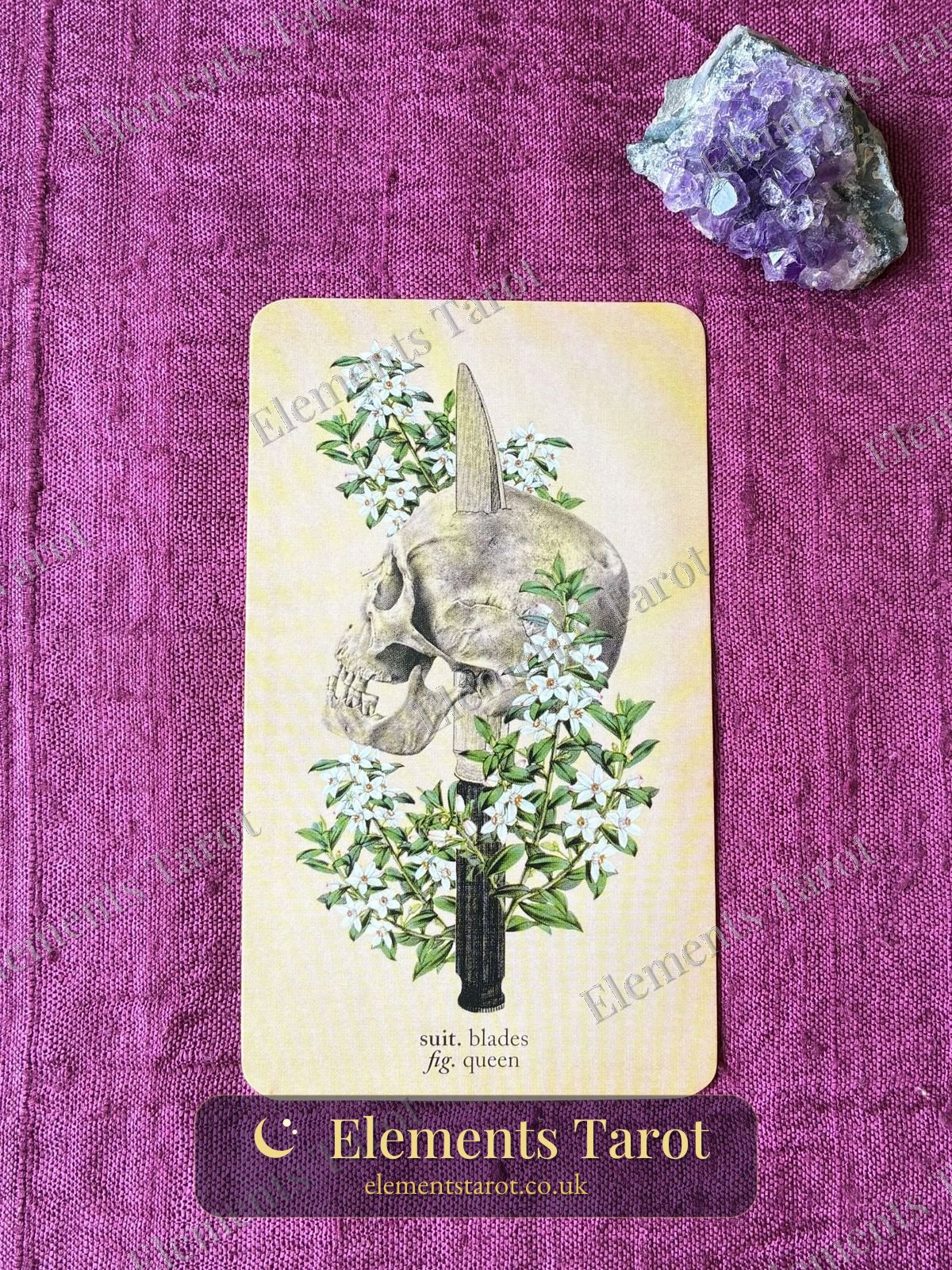 Ellie's photo of Queen of Blades