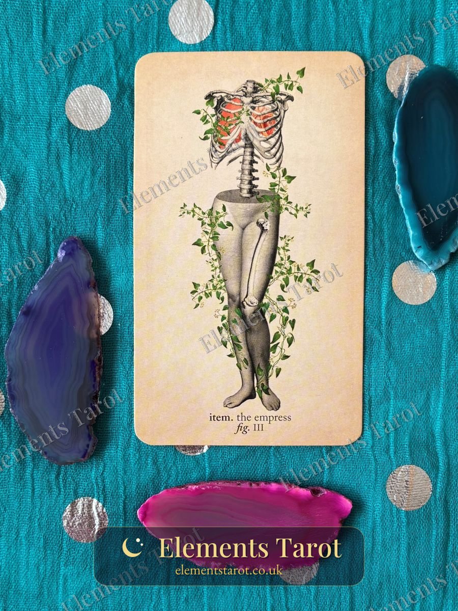Ellie's photo of The Empress