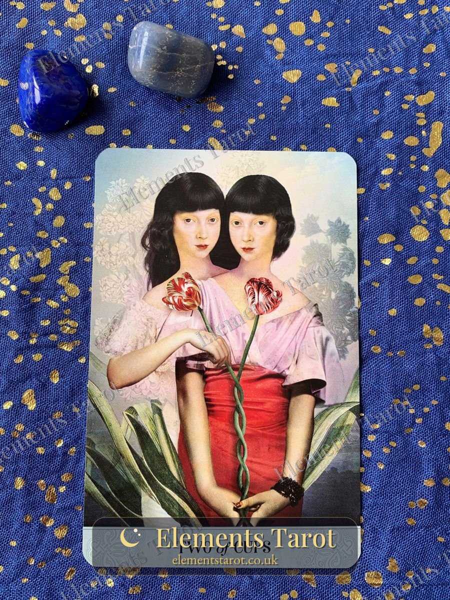 Ellie's photo of Two of Cups