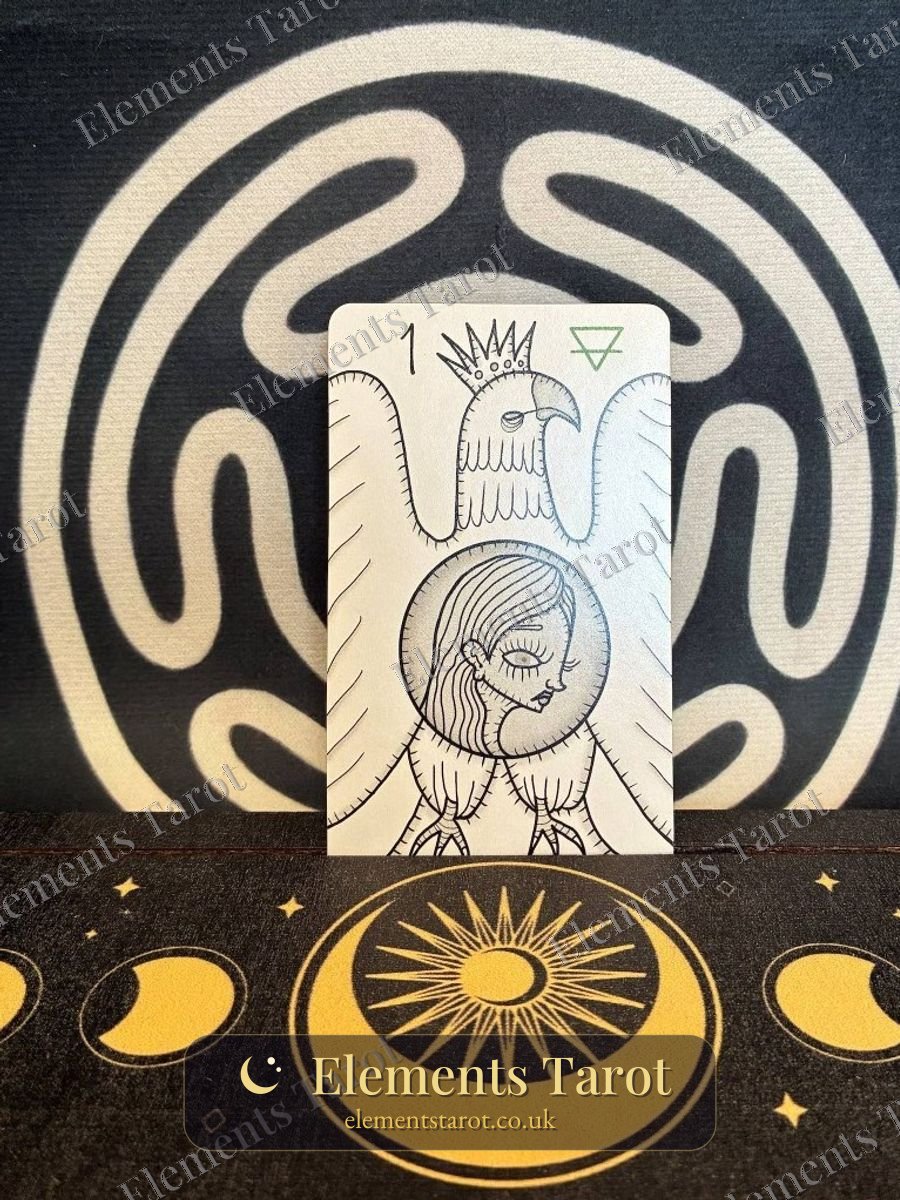 Ellie's photo of Ace of Pentacles