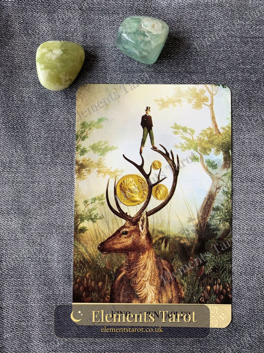 Ellie's photo of King of Pentacles Male