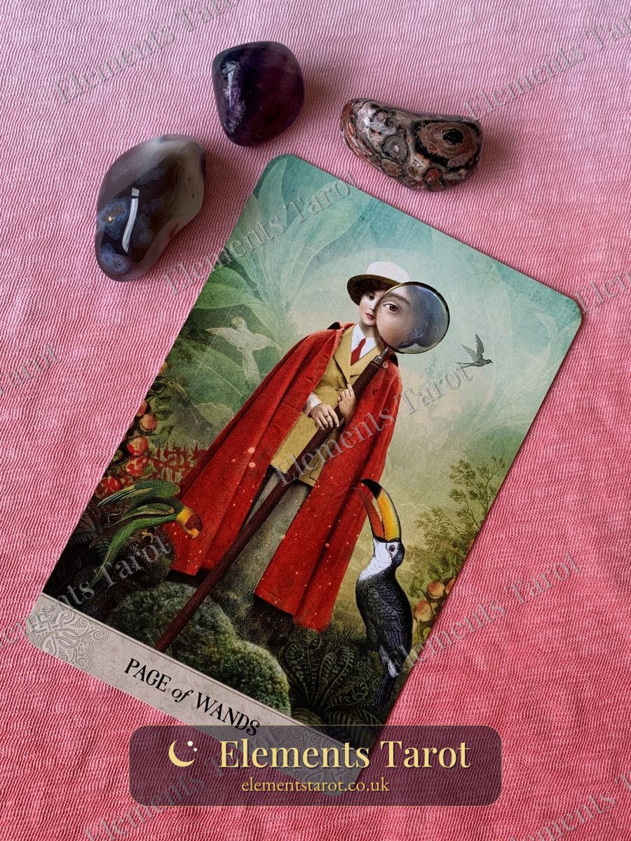 Ellie's photo of Page of Wands