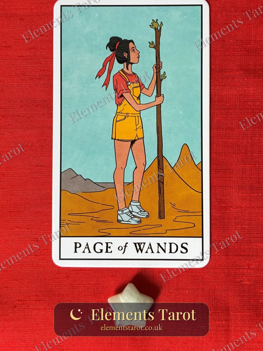 Ellie's photo of Page of Wands