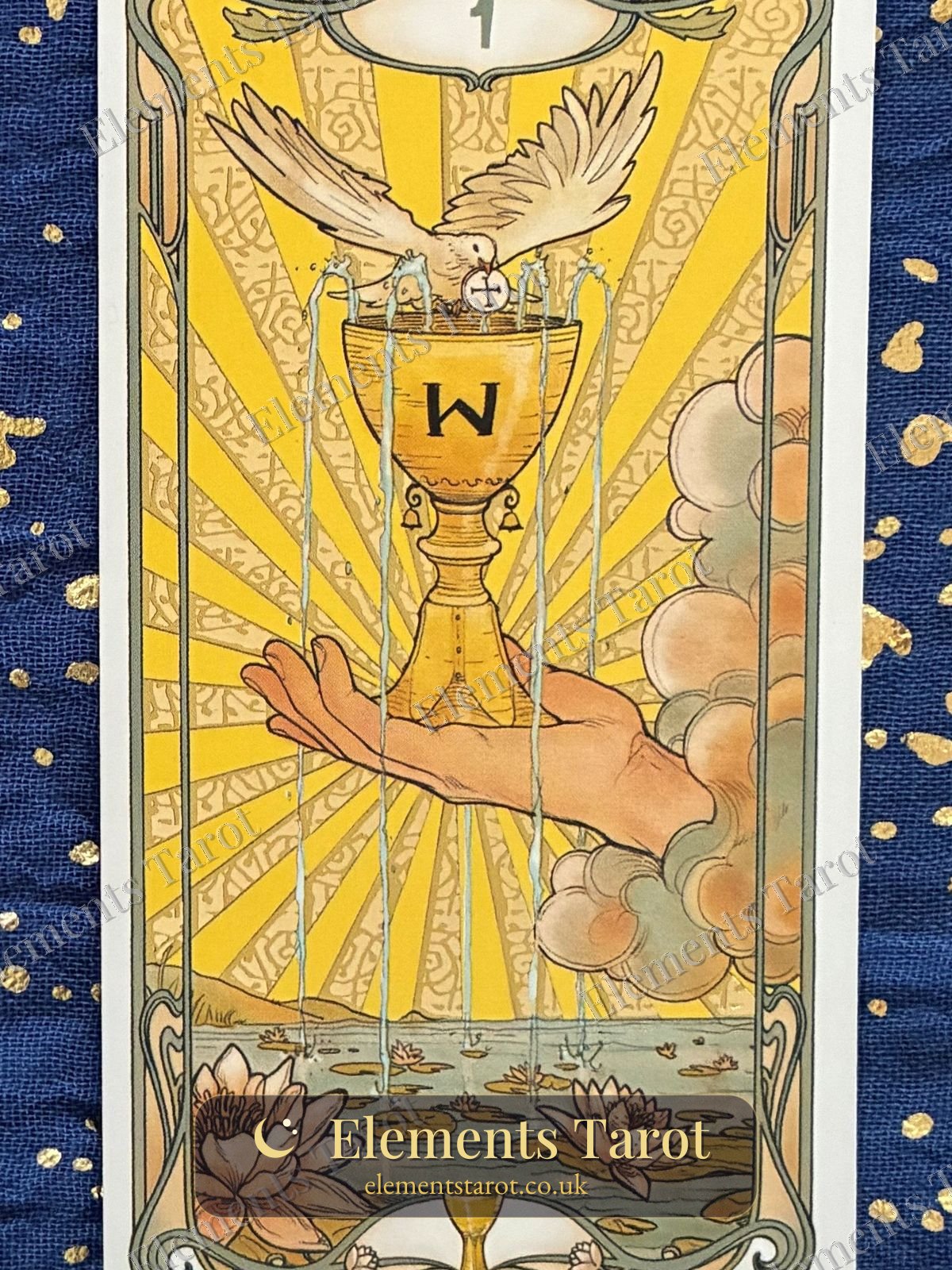 Ellie's photo of Ace of Cups