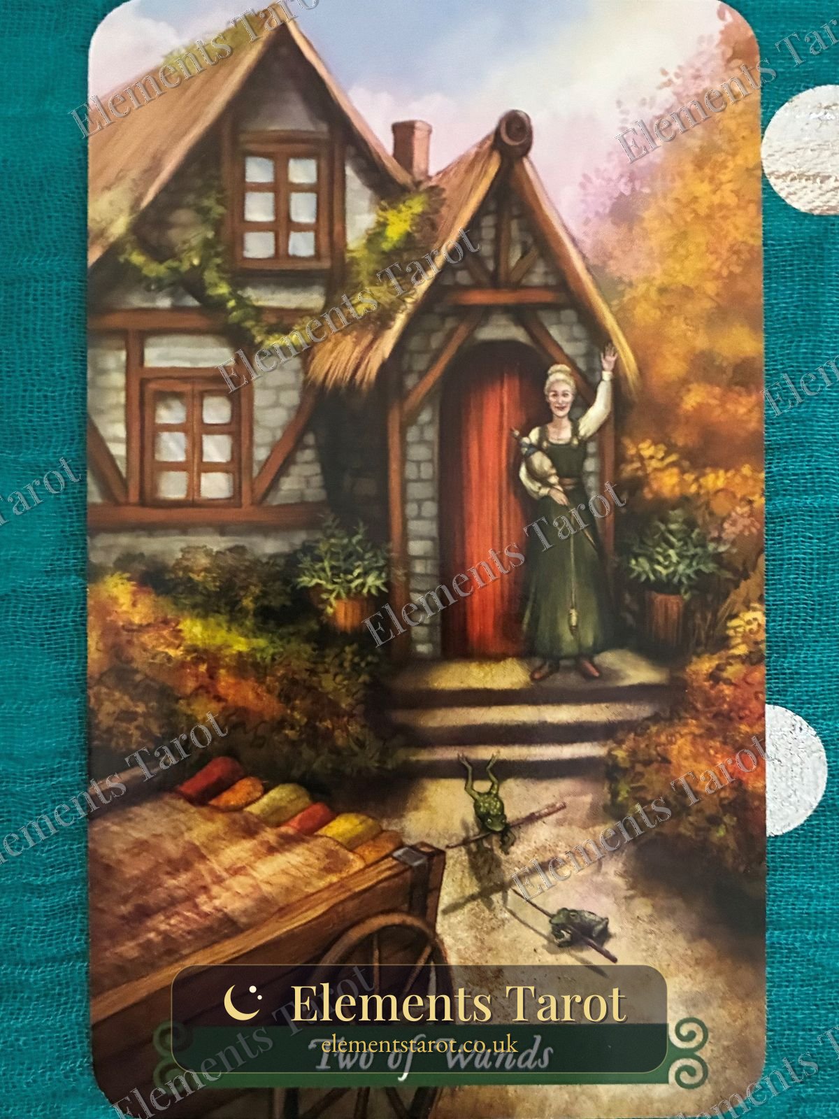 Ellie's photo of Two of Wands
