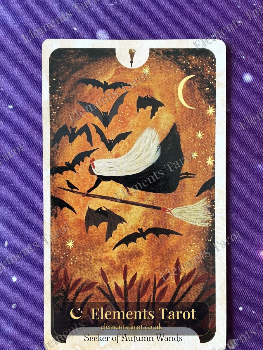 Ellie's photo of Seeker of Autumn Wands