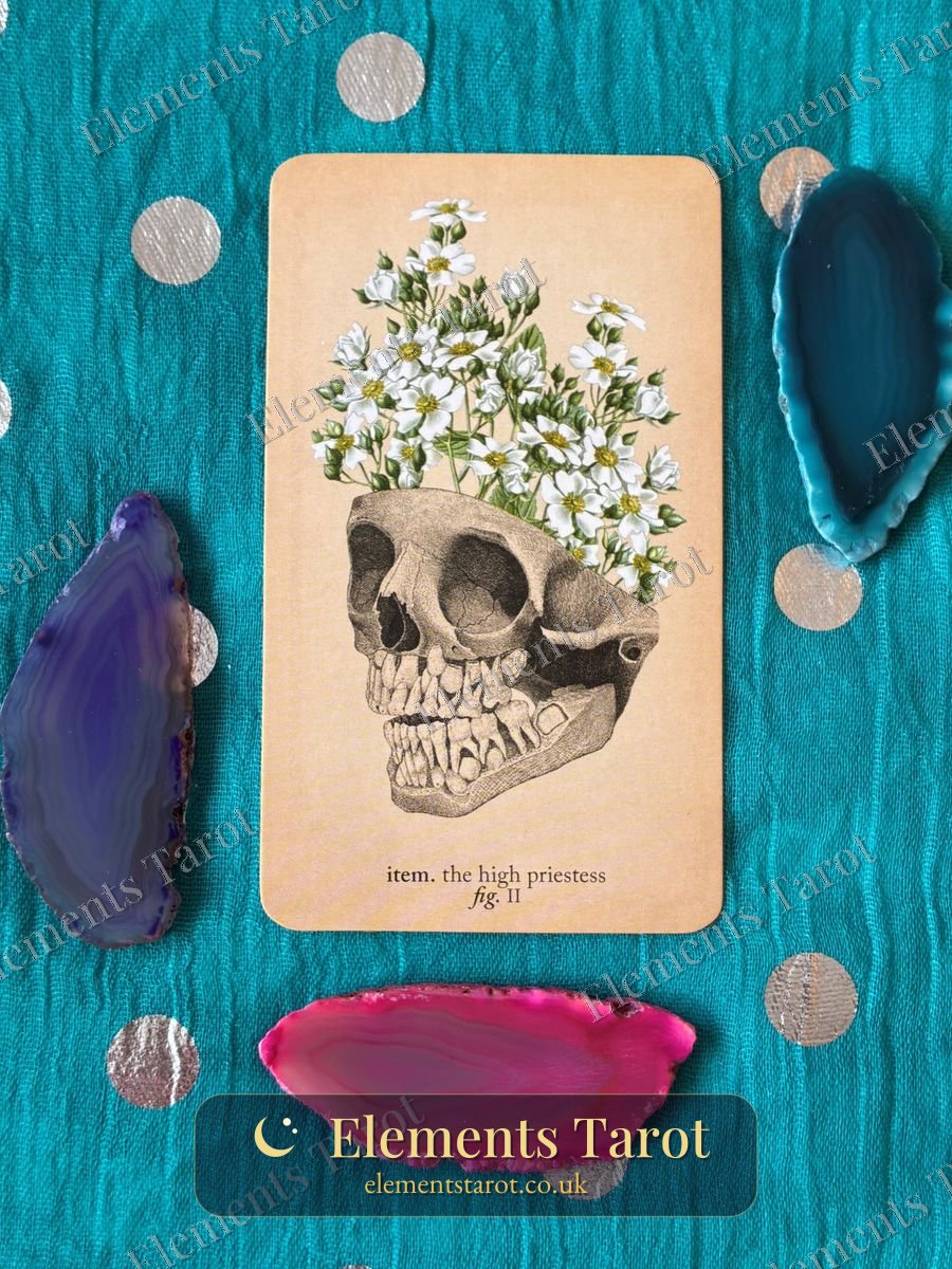 Ellie's photo of The High Priestess